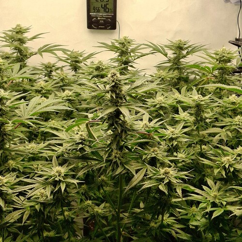 475495168_122166184610293599_5388391384752453268_n