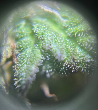 photo_2024-10-08_11-22-13