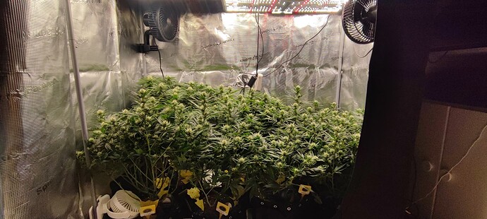 Growreport Bild 1