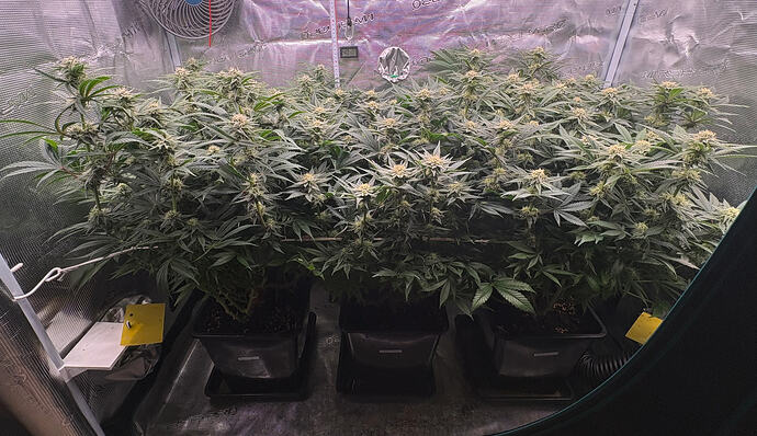 Foto 20.01.26, 16 44 55