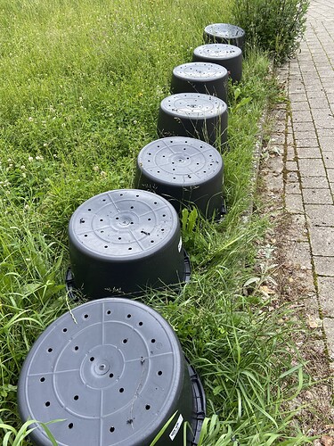 Growreport Bild 16