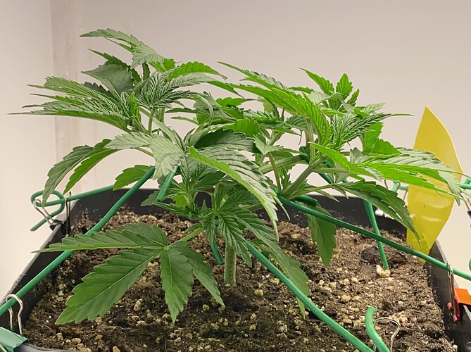Growreport Bild 22