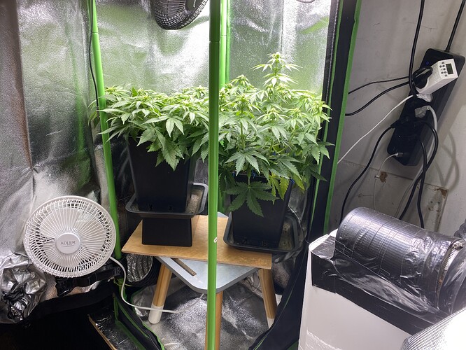 Growreport Bild 40