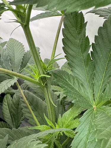 Growreport Bild 9