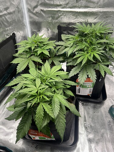 Growreport Bild 13