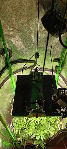 Growreport Bild 4
