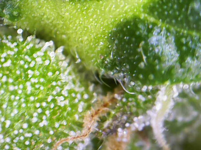 Photo_2024-06-09 10_47_07_420