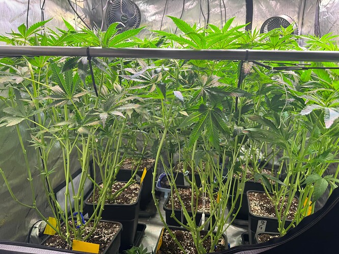 Growreport Bild 6