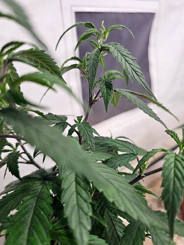 Growreport Bild 4