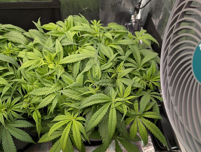 Growreport Bild 4