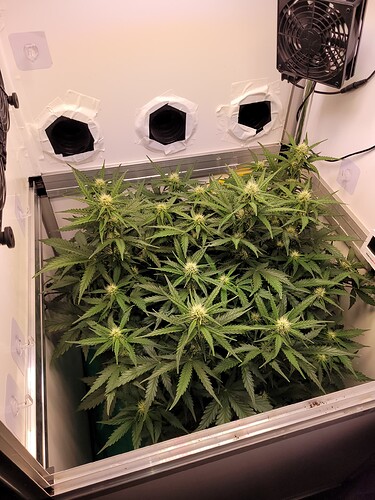 Growreport Bild 3