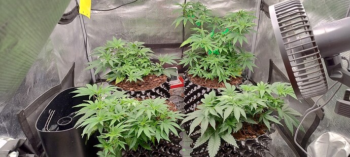 IMG_20251009_164033915_HDR