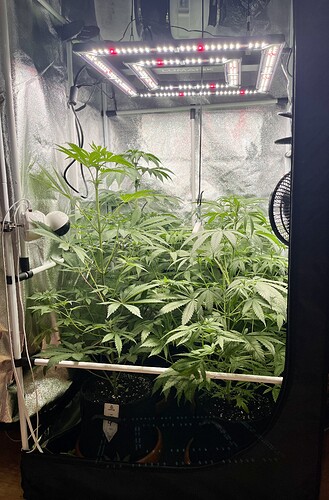 Growreport Bild 4