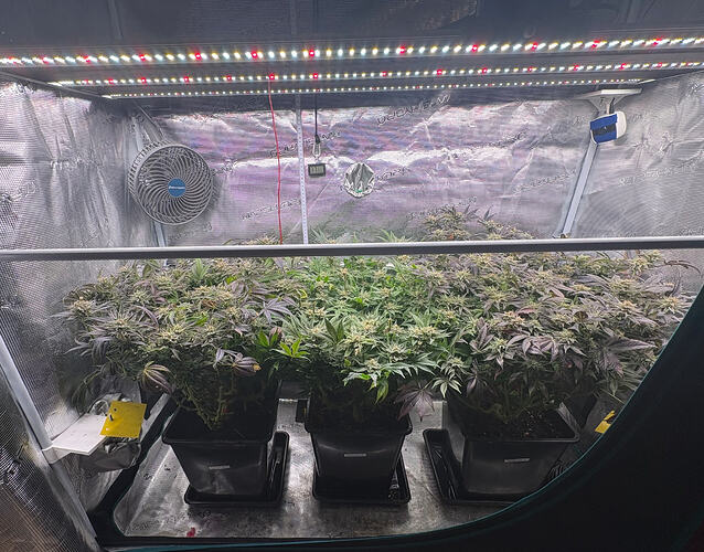 Growreport Bild 7