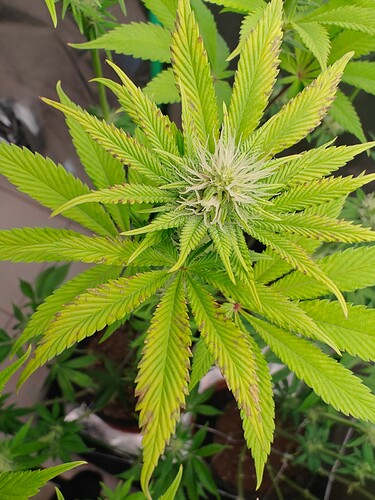 Growreport Bild 4