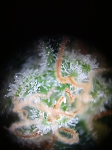 Growreport Bild 18