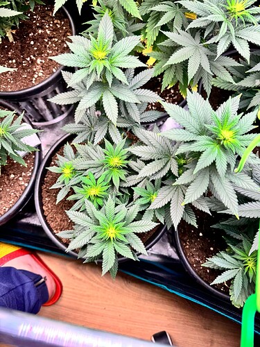 WhatsApp Image 2024-05-18 at 09.46.40