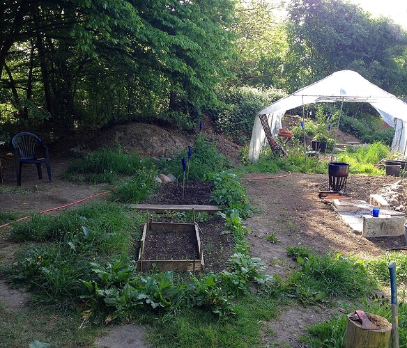 Growreport Bild 3