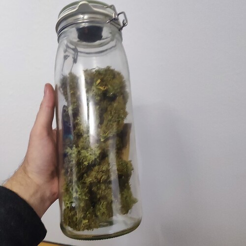 Growreport Bild 4