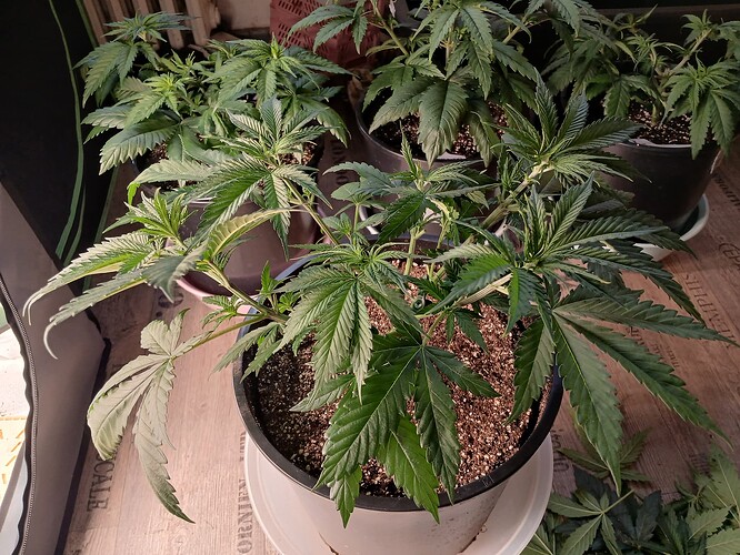 Growreport Bild 14