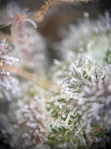 PXL_20240224_000907995