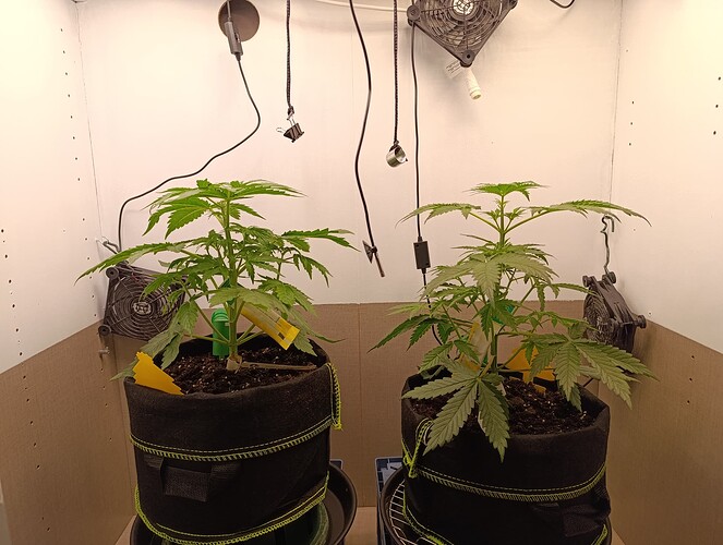 Growreport Bild 12