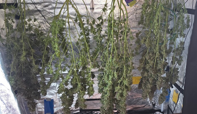 Growreport Bild 78