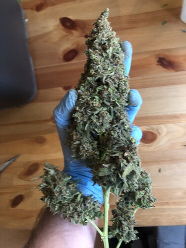 Growreport Bild 14