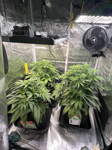 Growreport Bild 9
