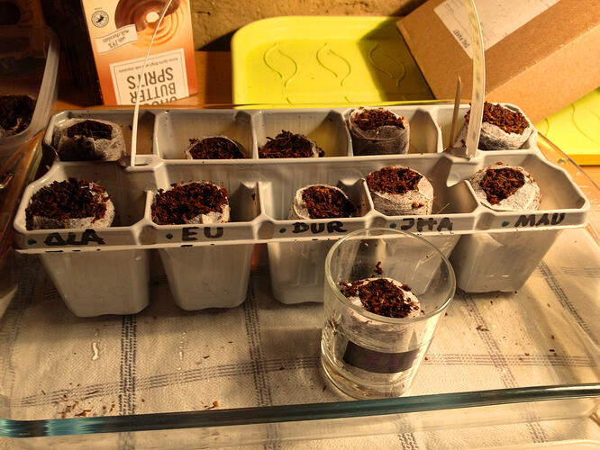 Grow26_0503_Aussaat1_06