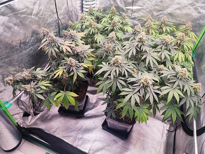 Growreport Bild 14