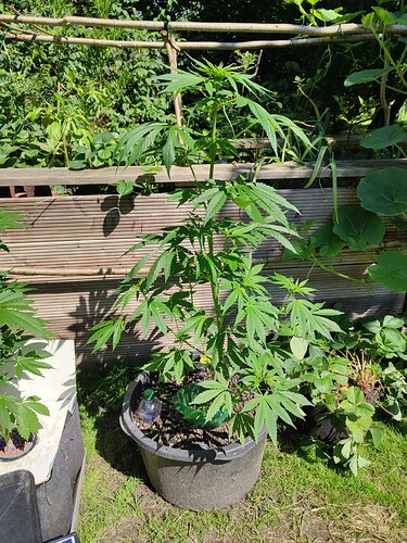 Growreport Bild 18