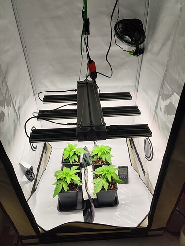 Growreport Bild 9