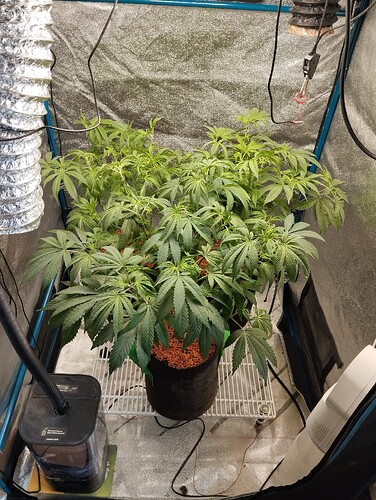 Growreport Bild 6