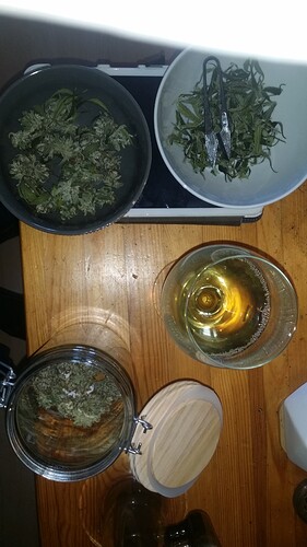 Growreport Bild 91