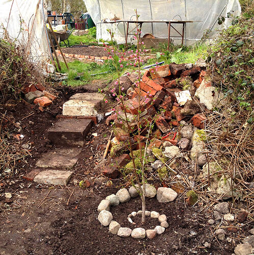 Grow26_0412_Treppe_3