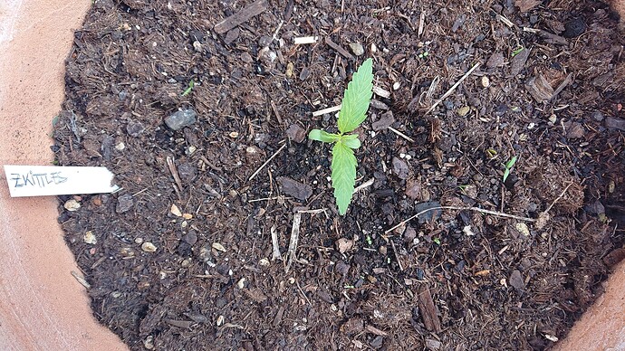 Growreport Bild 13