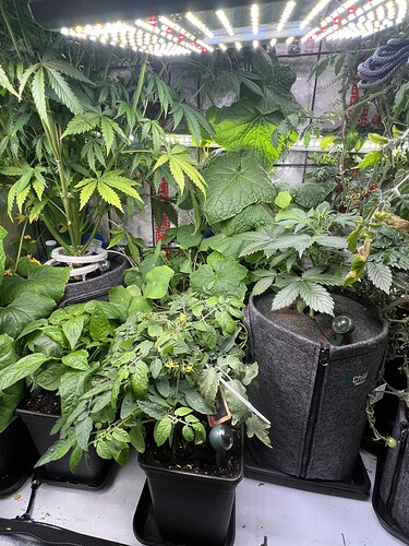 Growreport Bild 8