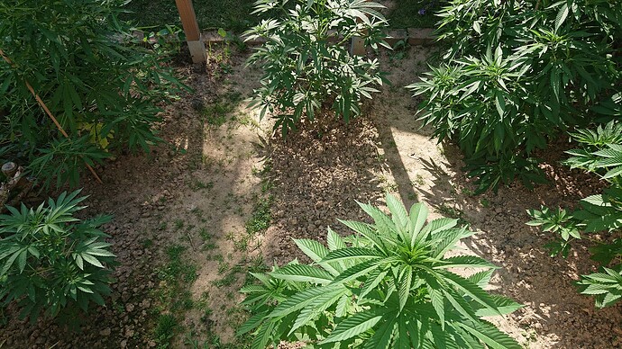 Growreport Bild 90