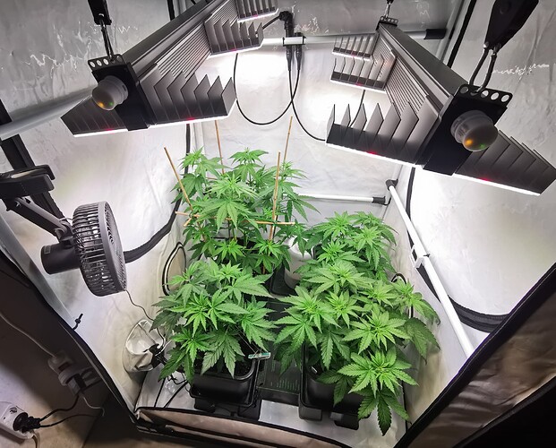 Growreport Bild 4