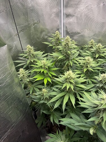 Growreport Bild 12