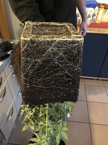 Growreport Bild 6