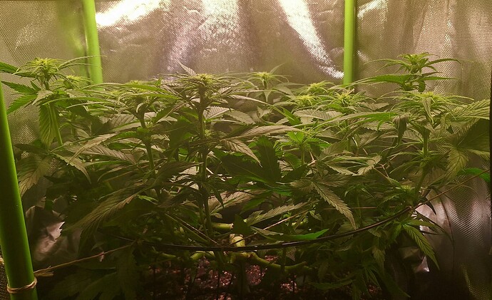 Growreport Bild 15