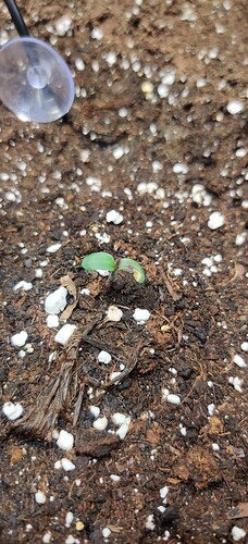 IMG_20240503_151551