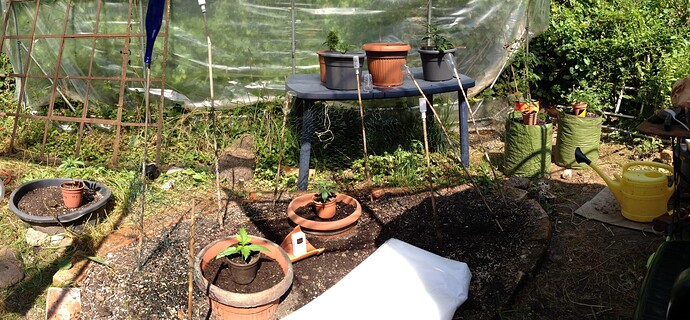 Growreport Bild 38
