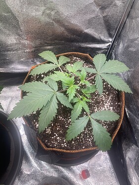 Growreport Bild 15