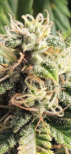 Growreport Bild 17