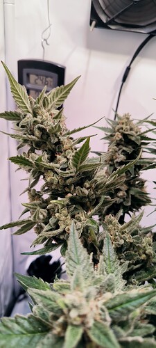 Growreport Bild 14