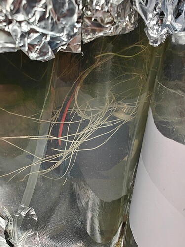 Growreport Bild 31