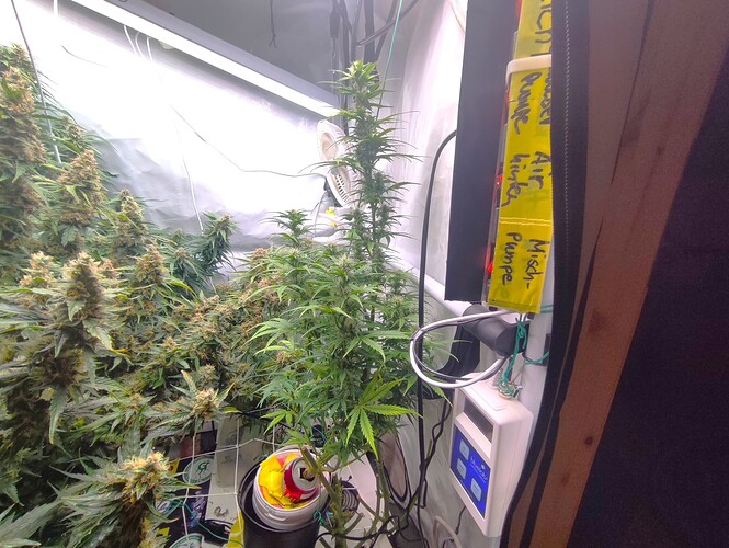 Growreport Bild 34